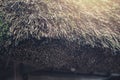 Thatching . Closeup Japanese Straw roof