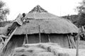 Thatching a rondavel in Mochudi in 1973 with piles of thatching grass in the foreground.