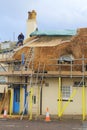 Thatching a roof with water reed