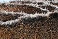 Thatching straw thatch thatched texture textured surface abstract background outdoors