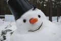 Thaw. Snowman melts. Royalty Free Stock Photo