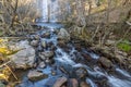 Thaw stream in the middle of the forest