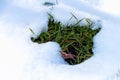 Thawed spot with green grass in the snow. Royalty Free Stock Photo