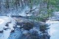 Thawing creek in the forest Royalty Free Stock Photo