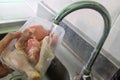 Thawing frozen chicken or poultry meat on running water on a sink.