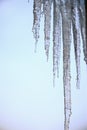 Thawing icicles Royalty Free Stock Photo