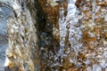 The thawing icicles with the falling water drop in the mountains Royalty Free Stock Photo