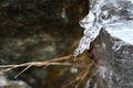 The thawing icicles with the falling water drop in the mountains