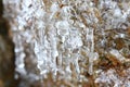 The thawing icicles with the falling water drop in the mountains