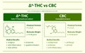 Ã¢Ëâ 9-THC vs CBC, Delta 9 Tetrahydrocannabinol vs Cannabichromene horizontal infographic