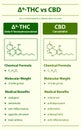 Ã¢Ëâ 9-THC vs CBD, Delta 9 Tetrahydrocannabinol vs Cannabidiol vertical infographic Royalty Free Stock Photo