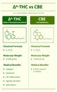 Ã¢Ëâ 9-THC vs CBE, Delta 9 Tetrahydrocannabinol vs Cannabielsoin vertical infographic