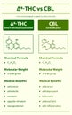 Ã¢Ëâ 8-THC vs CBL, Delta 8 Tetrahydrocannabinol vs Cannabicyclol vertical infographic Royalty Free Stock Photo