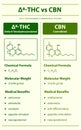 Ã¢Ëâ 8-THC vs CBN, Delta 8 Tetrahydrocannabinol vs Cannabinol, vertical infographic