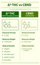 Ã¢Ëâ 9-THC vs CBND, Delta 9 Tetrahydrocannabinol vs Cannabinodiol vertical infographic