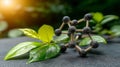 Theanine Molecular Structure Visualized with Green Tea Leaves for Biochemical Research and Study Royalty Free Stock Photo