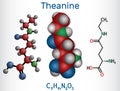 Theanine, theanin molecule. It is neuroprotective agent, plant metabolite, is found in green tea. Structural chemical formula, Royalty Free Stock Photo