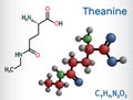 Theanine, theanin molecule. It is neuroprotective agent, plant metabolite, is found in green tea. Structural chemical formula, Royalty Free Stock Photo