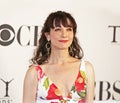 Bebe Neuwirth at the 2006 Tony Awards Royalty Free Stock Photo