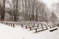 Theater in the winter woods