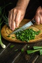 Thecook cuts green onion on a cutting board with a knife for preparing a vegetarian dish Royalty Free Stock Photo