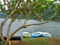 Three empty boats in front at Periyar lake, Kerala, India