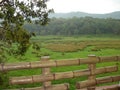 Thekkady