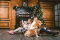 Theme Christmas and New Year family circle. Young Caucasian family with 1 year old child dog breed Labrador Golden Retriever Royalty Free Stock Photo