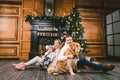 Theme Christmas and New Year family circle. Young Caucasian family with 1 year old child dog breed Labrador Golden Retriever Royalty Free Stock Photo