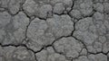 The theme of drought and lost crops. Close-up of dry dead soil in summer after sweltering heat. natural drought anomaly. Drought Royalty Free Stock Photo