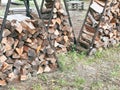 The theme of forest degradation and deforestation. Photo of tree firewood