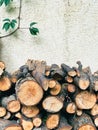 The theme of forest degradation and deforestation. Photo of tree firewood