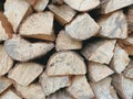 The theme of forest degradation and deforestation. Photo of tree firewood