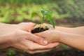 Adult and child are holding in hands seedling Royalty Free Stock Photo