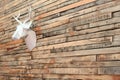 Theme happy new year. Paper deer head hanging on the wall of wooden planks. Perspective at an angle. Copy space. Royalty Free Stock Photo