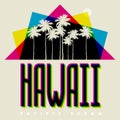 Theme of Hawaii beach, vector illustration
