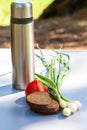 Theme of hiking, tourism and picnic a symbolic image, thermos and food on the table