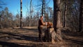 Theme hiking and travel. A Caucasian tourist man unpacks an orange backpack, takes out his things and puts them on a stump in the