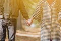 Cropped photo of couple in love holding hands in autumn nature with sunrays everywhere. Royalty Free Stock Photo