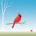 Theme with minimalistic elements and vibrant colors, highlighting the cardinal Royalty Free Stock Photo