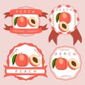 The theme peach Royalty Free Stock Photo