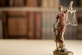 39/5000 Themis figurine in the background of law books.