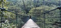 Hanging bridge at the Kallada Irrigation dam - Thenmala Royalty Free Stock Photo