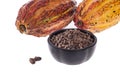 Theobroma cacao - Dried Crushed Cocoa Beans With Fruit