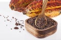 Theobroma cacao - Dried Crushed Cocoa Beans With Fruit