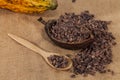 Theobroma cacao - Dried Crushed Cocoa Beans With Fruit