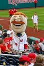 Theodore Roosevelt mascot (Nationals MLB)