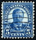 Theodore Roosevelt US Postage Stamp