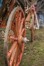 Decorated cart for St. Theodore`s day Royalty Free Stock Photo