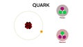 Theoretical physics quark and gluon subatomic, up and down quarks in proton and neutron, Form the matter